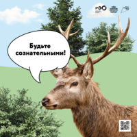 Российский экологический оператор